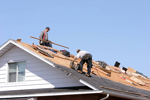 Best Roof Ventilation Installation  in Sharon, TN
